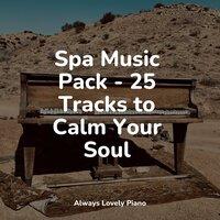 Spa Music Pack - 25 Tracks to Calm Your Soul