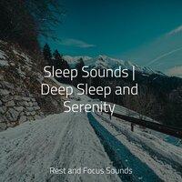 Sleep Sounds | Deep Sleep and Serenity
