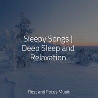 Sleepy Songs | Deep Sleep and Relaxation
