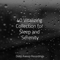 40 Vitalizing Collection for Sleep and Serenity