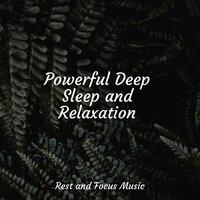 Powerful Deep Sleep and Relaxation
