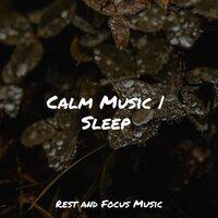 Calm Music | Sleep
