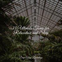 35 Ultimate Tones for Relaxation and Sleep