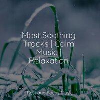 Most Soothing Tracks | Calm Music | Relaxation