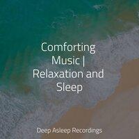 Comforting Music | Relaxation and Sleep