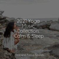 2021 Yoga Music Collection: Calm & Sleep
