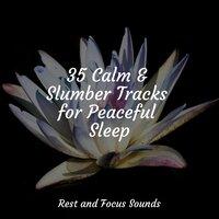 35 Calm & Slumber Tracks for Peaceful Sleep