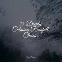25 Deeply Calming Rainfall Classics