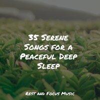 35 Serene Songs for a Peaceful Deep Sleep