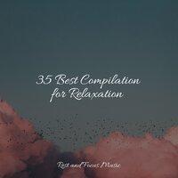 35 Best Compilation for Relaxation