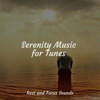 Serenity Music for Tunes