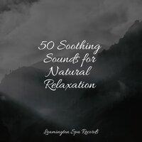 50 Soothing Sounds for Natural Relaxation
