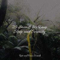 25 Sounds for Deep Sleep and Serenity