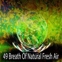 49 Breath Of Natural Fresh Air