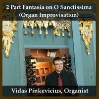 2 Part Fantasia on O Sanctissima (Organ Improvisation)