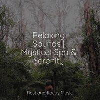 Relaxing Sounds | Mystical Spa & Serenity