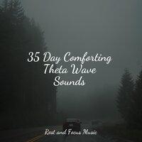35 Day Comforting Theta Wave Sounds