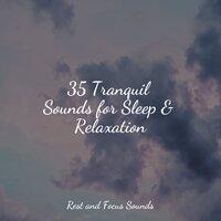 35 Tranquil Sounds for Sleep & Relaxation