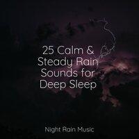 25 Calm & Steady Rain Sounds for Deep Sleep
