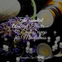 The essential Ambient Tracks - 50 Soft Songs for Mindfulness