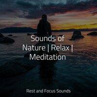 Sounds of Nature | Relax | Meditation