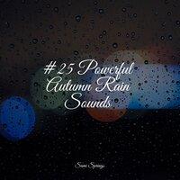 #25 Powerful Autumn Rain Sounds