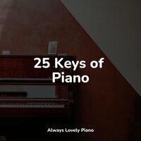 25 Keys of Piano