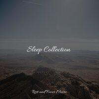 Sleep Collection