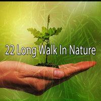 22 Долгая прогулка на природе