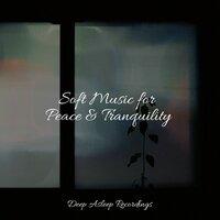 Soft Music for Peace & Tranquility