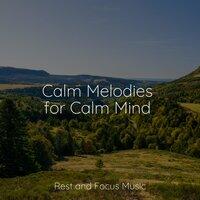 Calm Melodies for Calm Mind