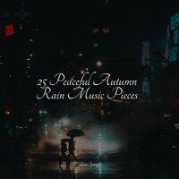 25 Peaceful Autumn Rain Music Pieces