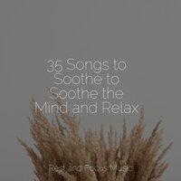 35 Songs to Soothe to Soothe the Mind and Relax