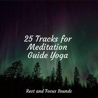 25 Tracks for Meditation Guide Yoga