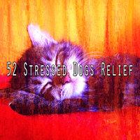 52 Stressed Dogs Relief