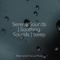 Serene Sounds | Soothing Sounds | Sleep