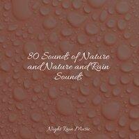 80 Sounds of Nature and Nature and Rain Sounds