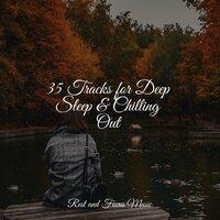 35 Tracks for Deep Sleep & Chilling Out