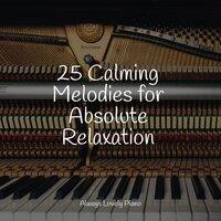 25 Calming Melodies for Absolute Relaxation