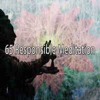 65 Responsible Meditation