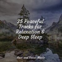35 Peaceful Tracks for Relaxation & Deep Sleep