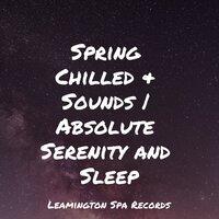 Spring Chilled & Sounds | Absolute Serenity and Sleep