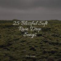 25 Blissful Soft Rain Drop Songs