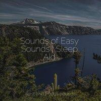 Sounds of Easy Sounds | Sleep Aid