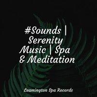 #Sounds | Serenity Music | Spa & Meditation
