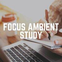 Focus Ambient Study