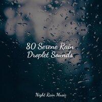 80 Serene Rain Droplet Sounds