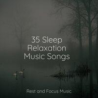 35 Sleep Relaxation Music Songs