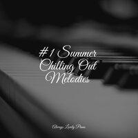 #1 Summer Chilling Out Melodies