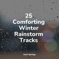 25 Comforting Winter Rainstorm Tracks